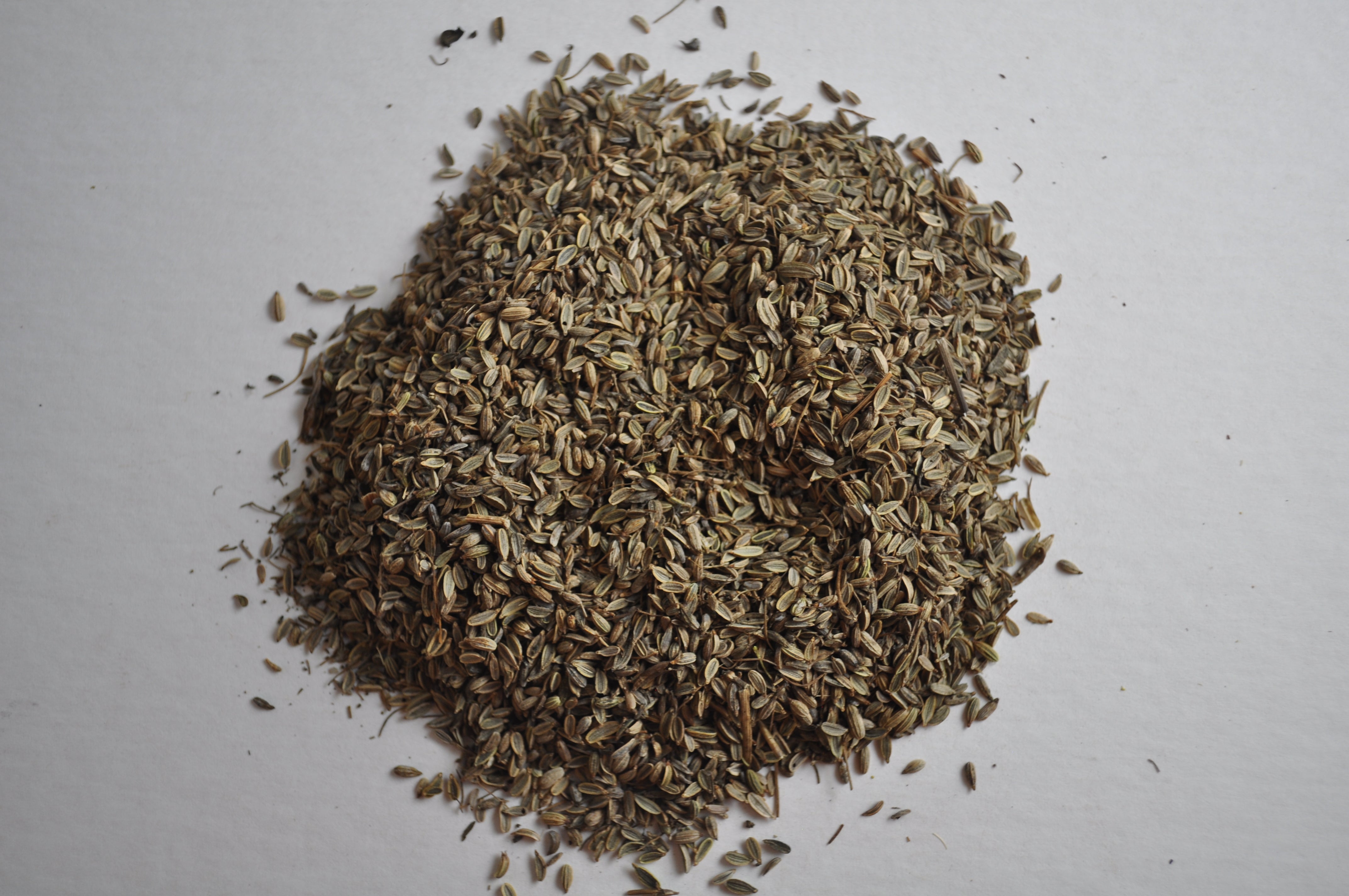 birds eye tobacco Bird Eye Seed – Cool Runnings Music