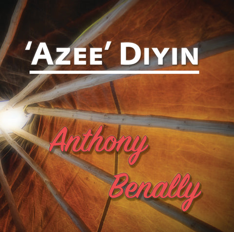 Anthony Benally - Azee Diyin